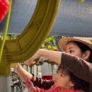 151-1-000011 | 키즈카페 느낌의 포천딸기힐링팜 🍓🍓