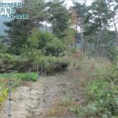 안성면010 이미지