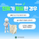 소리약국 티스토리