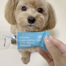 순덕농장 | 강아지 덴탈껌 추천 벨라맥스 입냄새 제거에 좋은 강아지껌