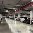 후니휘트니스 이미지