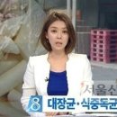 송학 이미지