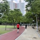 화랑공원 이미지