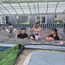 오쿨리펜션 이미지