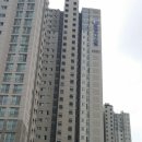 경남개나리벽지