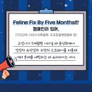 분당-218 이미지