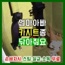 헐크세차