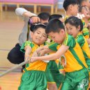 국제 중앙 체육관 이미지