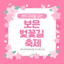 죽전리 | 2026년 보은 벚꽃길 축제 후기 개화상태, 주차