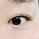 월횡경로당 | 계양구 작전동 속눈썹펌 맛집 예블리래쉬 속눈썹 바짝펌+블랙틴팅 후기