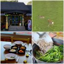 강촌매운탕 | [세종] 국물 진한 메기매운탕 숨은 찐맛집 ' 강촌매운탕 ' ㅣ 솔직후기