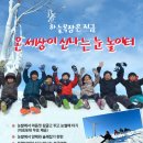 전나무목장 이미지