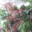 팔도화원 이미지