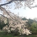 원당구장 이미지