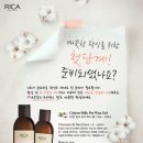 코튼프리