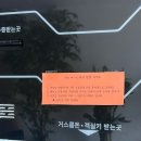 지브 | 강릉 오션뷰 가성비숙소 [지브펜션 303호] 내돈내잠 후기