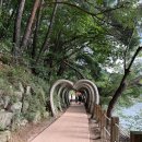 산정랜드 네이버블로그