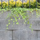 샘골공원2 이미지