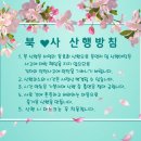 [2023년 3월 20일(월)] 청국장과 남산봄꽃 산책.. 이미지