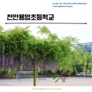 천안용암초등학교 이미지