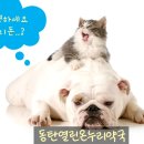 동탄하나약국 이미지