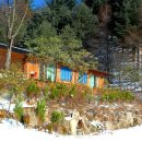 풀잎향기 이미지