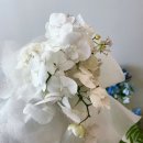 세븐일레븐대전중리행복점 | 대전 웨딩부케 꽃집 중리동 플로르온 내돈내산 후기