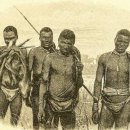 북부유전자 이미지