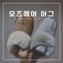호호팜 | 오즈웨어 어그 슬리퍼 사이즈 팁 | 토프 &amp; 체스트넛 색상비교