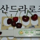 체리붐