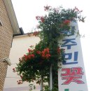 우리꽃집 - 수원시 권선구 고색로66번길 47-1 | 우리꽃집