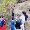 오골계마을 이미지