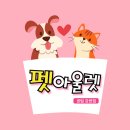 펫아울렛수영
