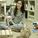 스카이펫