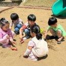 중앙근린공원 | 💕양산 중앙유치원 친구들의 신나는 봄소풍💕 - 사상근린공원🌸