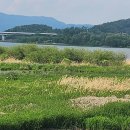 열린행정사 이미지