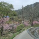 단지골 농장 이미지