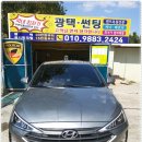 프로카케어 이미지