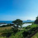 오렌지빌 이미지