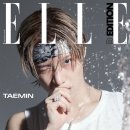 태민