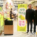 반딧불청과 이미지