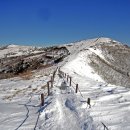 제46화 - 대한민국에서 가장 큰 절, 소백산 구인사 알아보기 이미지