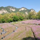 둘레길 | 🌸 서울 불암산 철쭉제 후기｜서울둘레길 따라 걷는 봄꽃 힐링 산책
