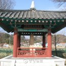 부부대게 이미지