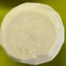 순수한 맛🌱메밀전병(빙떡)🥢 이미지