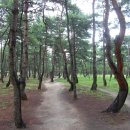 송정 물레방아 휴게소 이미지