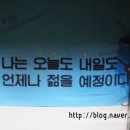 뜻밖의조작가