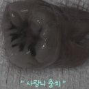 이하루치과의원 이미지