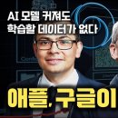 빠르면 2025년, AI에 학습할 데이터 다 소모한다...? GPU, 전력, AI데이터센터, 물 부족에 이어, 이제는 데이터까지 | 애 이미지