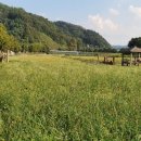 북한강물새길(봄내길 7코스) 이미지